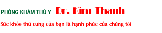 Banner Dr.Kim Thanh