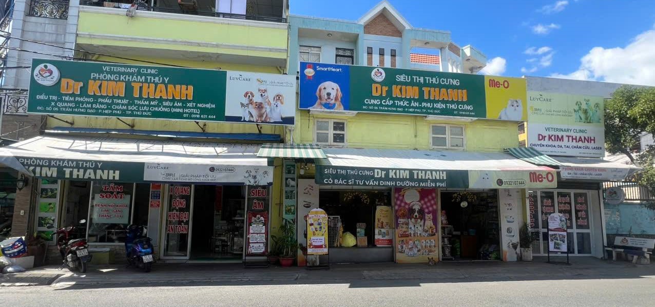 492894583 1243640741101782 3214429859339668639 n