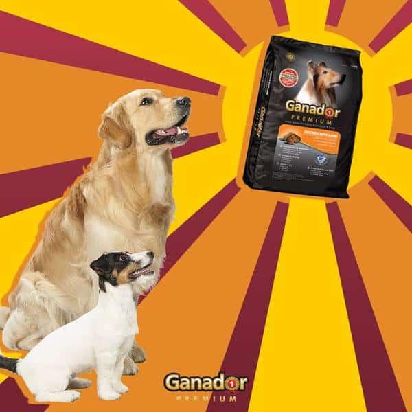 hat-ganador-adult-cho-cho-truong-thanh-vi-cuu-and-gao-paddy-3 Hạt Ganador Adult Cho Chó Trưởng Thành Vị Cừu & Gạo