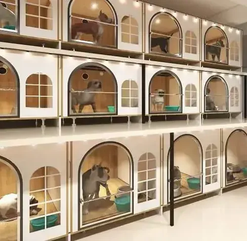 pet-hotel-boarding-dich-vu-cham-soc-thu-cung-diem-gui-cho-meo-dip-tet-2025 Dịch vụ lưu chuồng