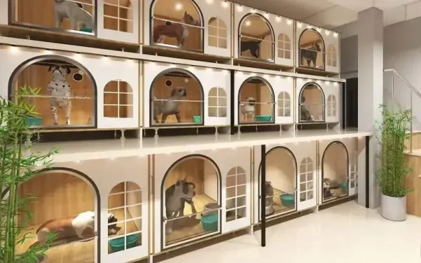 pet-hotel-boarding-dich-vu-cham-soc-thu-cung-diem-gui-cho-meo-dip-tet-2025 Dịch vụ lưu chuồng