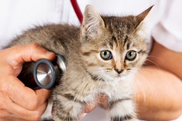 testing-diagnosis Khám và điều trị bệnh