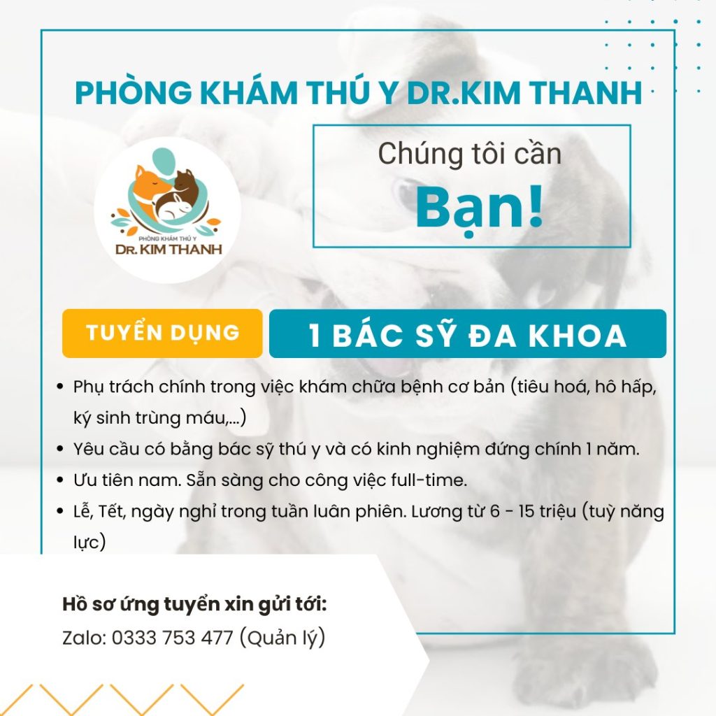 533107670 1343278587804663 6593617664233453129 n