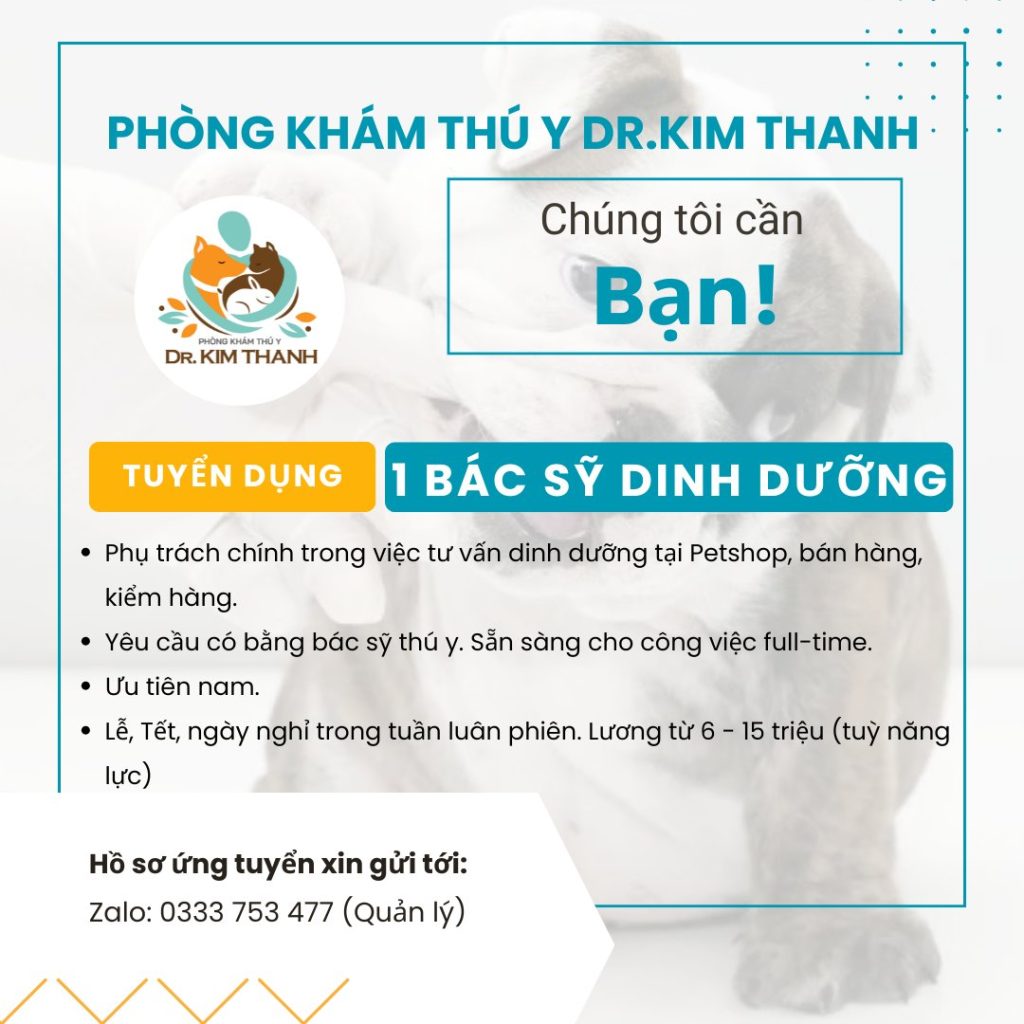 533410175 1343278591137996 4311386434505667439 n