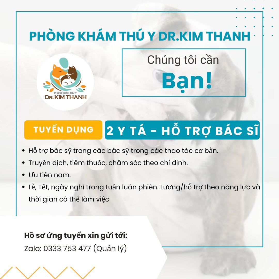 533495555 1343278644471324 4254842575118969718 n